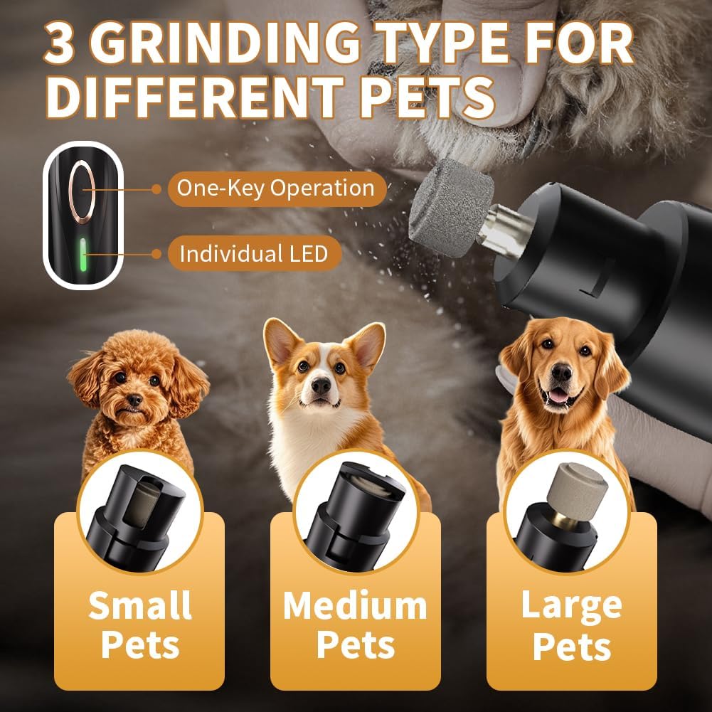 The full pet grooming kit set including guide combs and charging accessories neatly arranged.