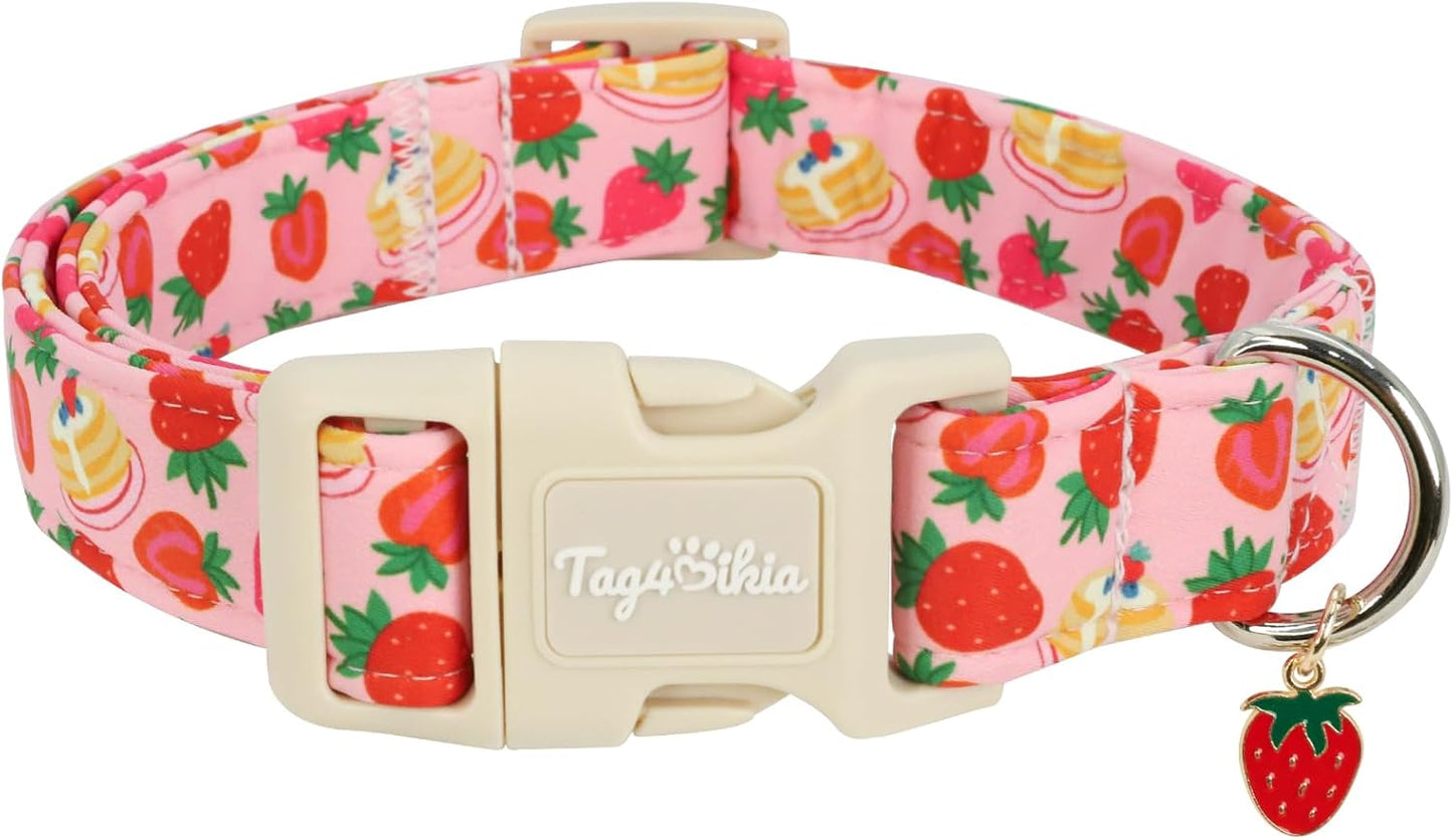 Tag4Oikia premium dog collar with reinforced stitching and D-ring