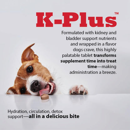 K Plus chewable tablets for balancing dog urine pH levels product shot