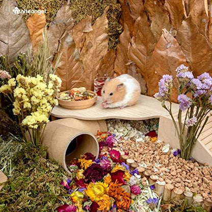 Niteangel Hamster Play Wooden Platform for Dwarf Syrian Hamsters Gerbils Mice Degus or Other Small Pets (Triangle - 5.9'' Height, Burlywood) - Image 6