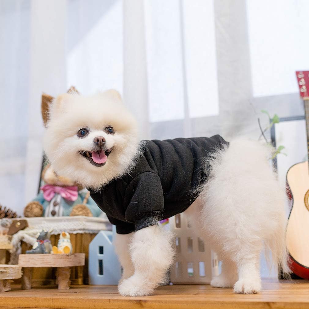 KOOLTAIL comfortable sports style sweatshirt for medium dogs
