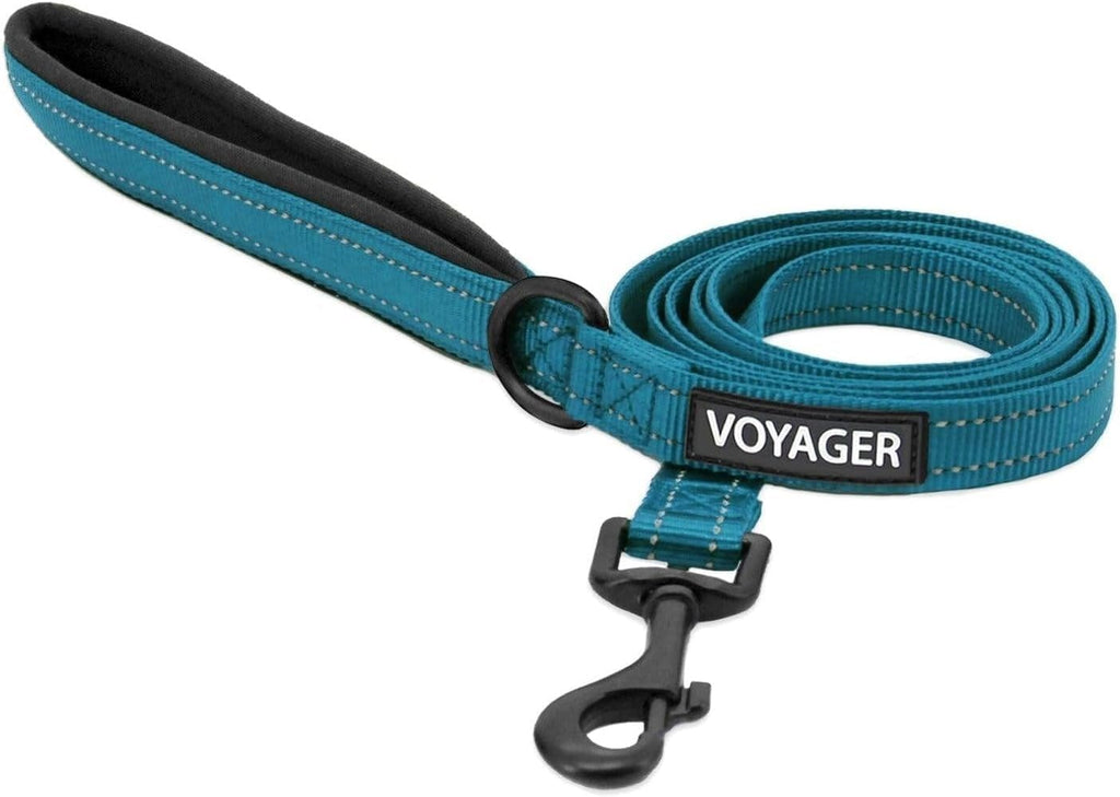 Best Pet Supplies Voyager Reflective Dog Leash or Collar with Neoprene Handle, for Small, Medium, and Large Breed Puppies, Cute and Heavy Duty for Walking, Running and Training - Baby Blue (Leash), S - Image 13