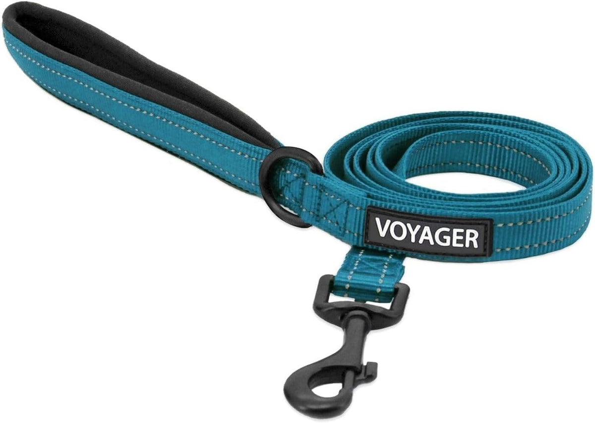Best Pet Supplies Voyager Reflective Dog Leash or Collar with Neoprene Handle, for Small, Medium, and Large Breed Puppies, Cute and Heavy Duty for Walking, Running and Training - Baby Blue (Leash), S - Image 13