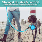 Premium nylon rope pet leash with high visibility reflective threading for night safety.
