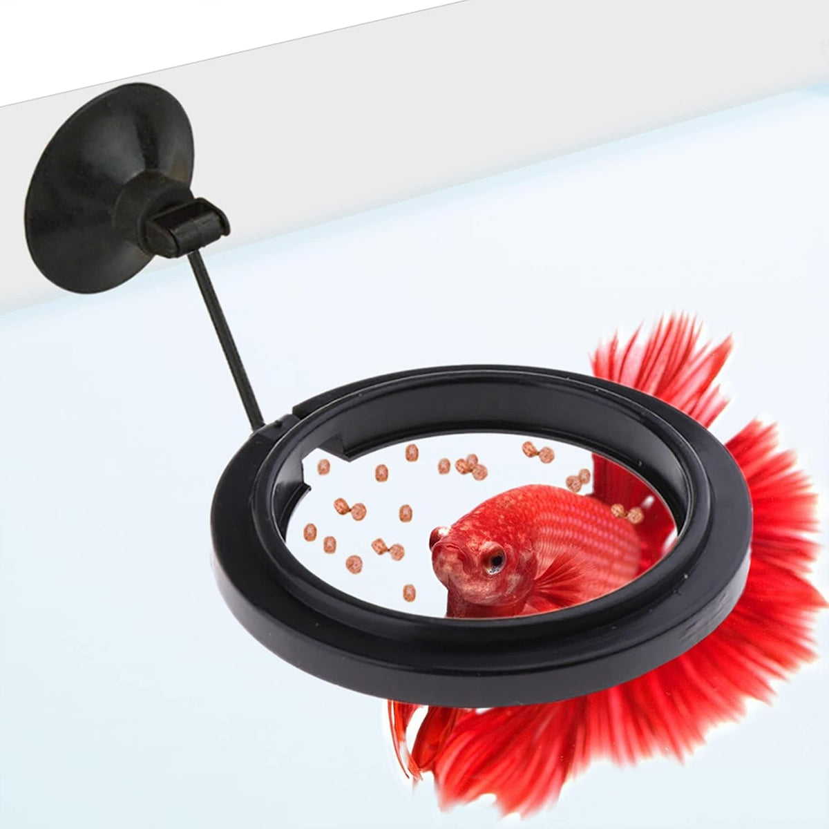 SunGrow Betta Feeding Ring front view aquarium accessory