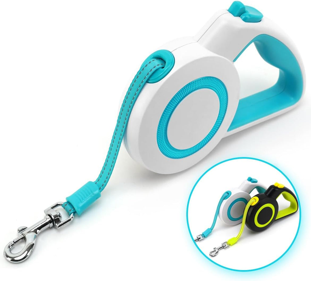 User holding Enrgticdg retractable dog leash during a walk