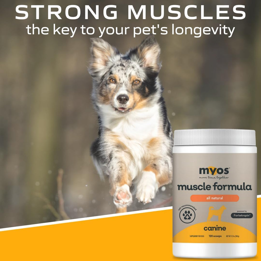 MYOS veterinary strength muscle support powder for pet injury recovery
