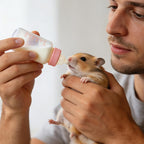 Gatuida 40-Pack Silicone Pet Nursing Nipples, Replacement Pacifiers for Small Animals, Bunny and Kitten Feeding Bottle Nipples, and Pet Feeder Nipples - Image 9
