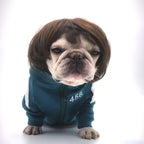 TESSVEYA trimmable dog Halloween costume hairpiece showing the elastic band closure