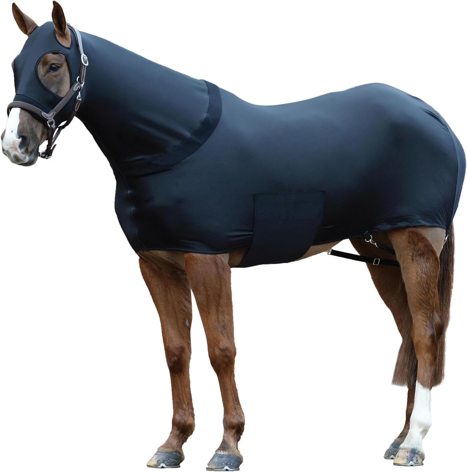 Navy blue premium 4-way stretch Lycra equestrian sheet showing body coverage