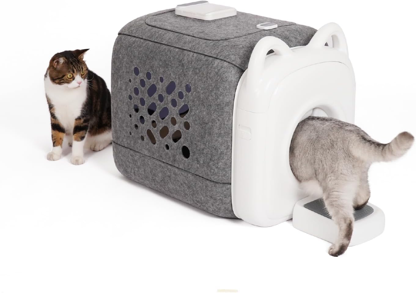 Cat walking through the PawSwing AutoComb 360 surround grooming rollers