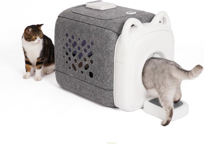 Cat walking through the PawSwing AutoComb 360 surround grooming rollers