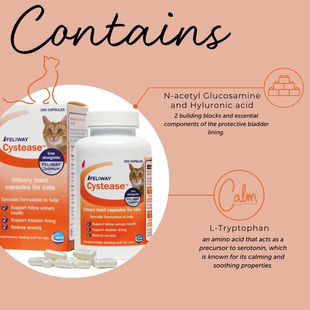 Feliway Cystease cat bladder supplement box back view