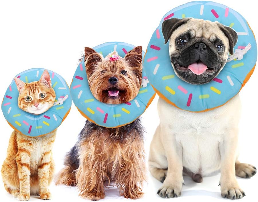 Kitten eating and drinking easily while wearing the flexible Friusate donut collar.