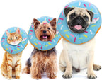 Kitten eating and drinking easily while wearing the flexible Friusate donut collar.
