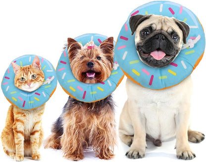 Kitten eating and drinking easily while wearing the flexible Friusate donut collar.