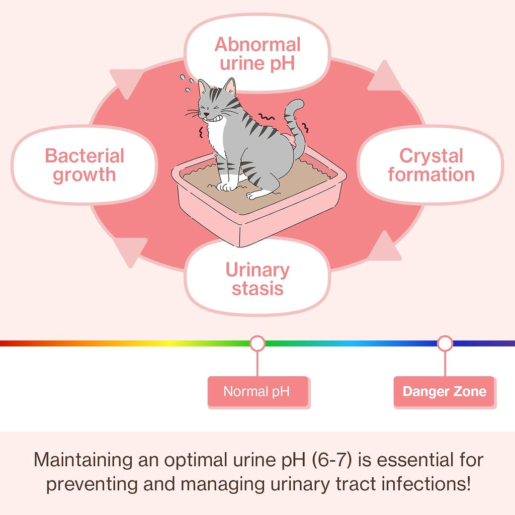 Doctor By UT Care cat UTI treat being squeezed as a snack