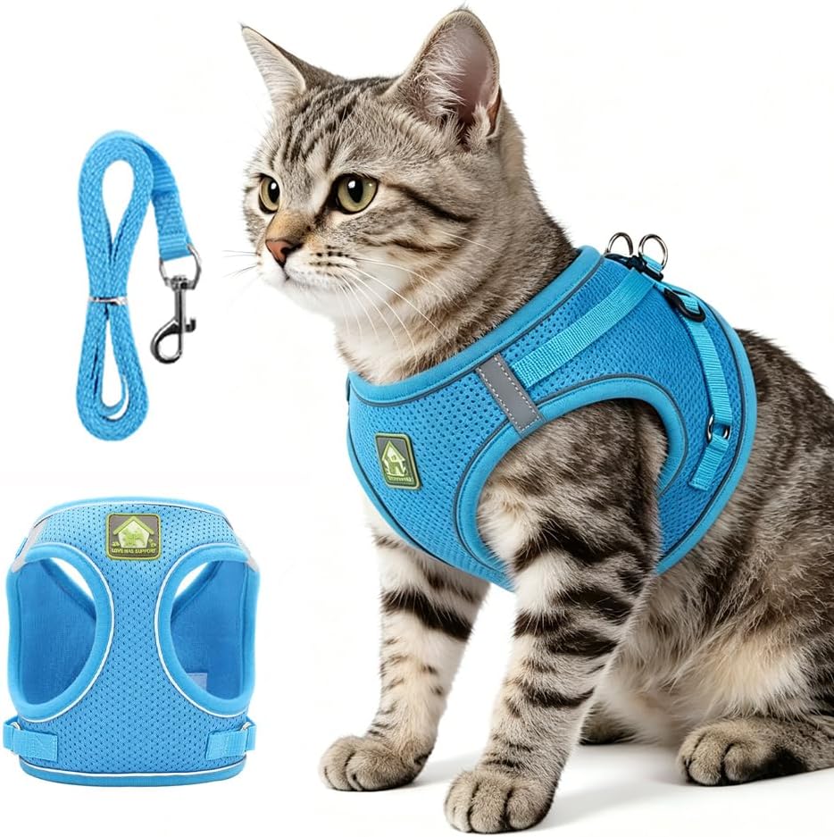 Nitvei escape proof cat harness and leash set front view blue color medium size