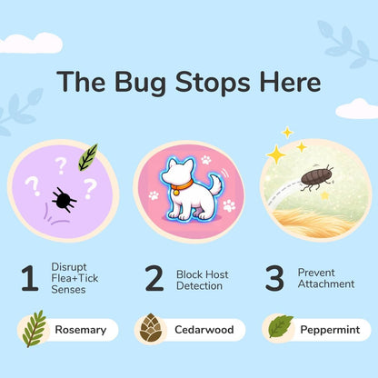 Kin+Kind lavender scented flea and tick prevention spray