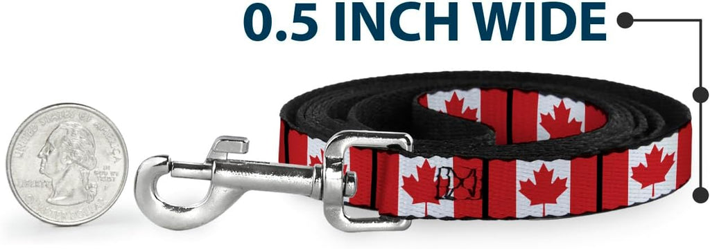 Full six-foot layout of the Buckle-Down pet leash on a clean surface
