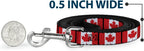 Full six-foot layout of the Buckle-Down pet leash on a clean surface