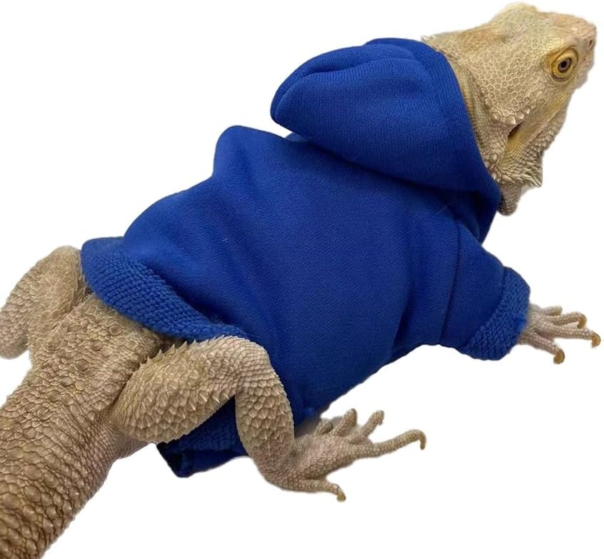 HAICHEN TEC lizard clothes for bearded dragons front view pure blue color