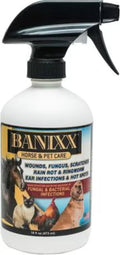 Banixx Horse and Pet Care Spray 16 fluid ounce bottle front view