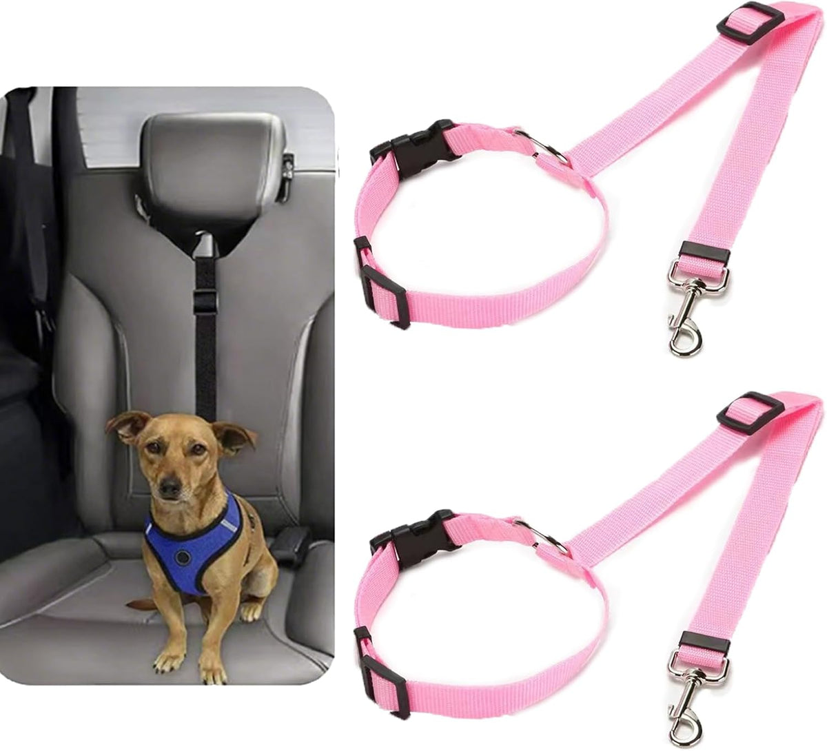 Pet safety seat belt connected to a harness in vehicle