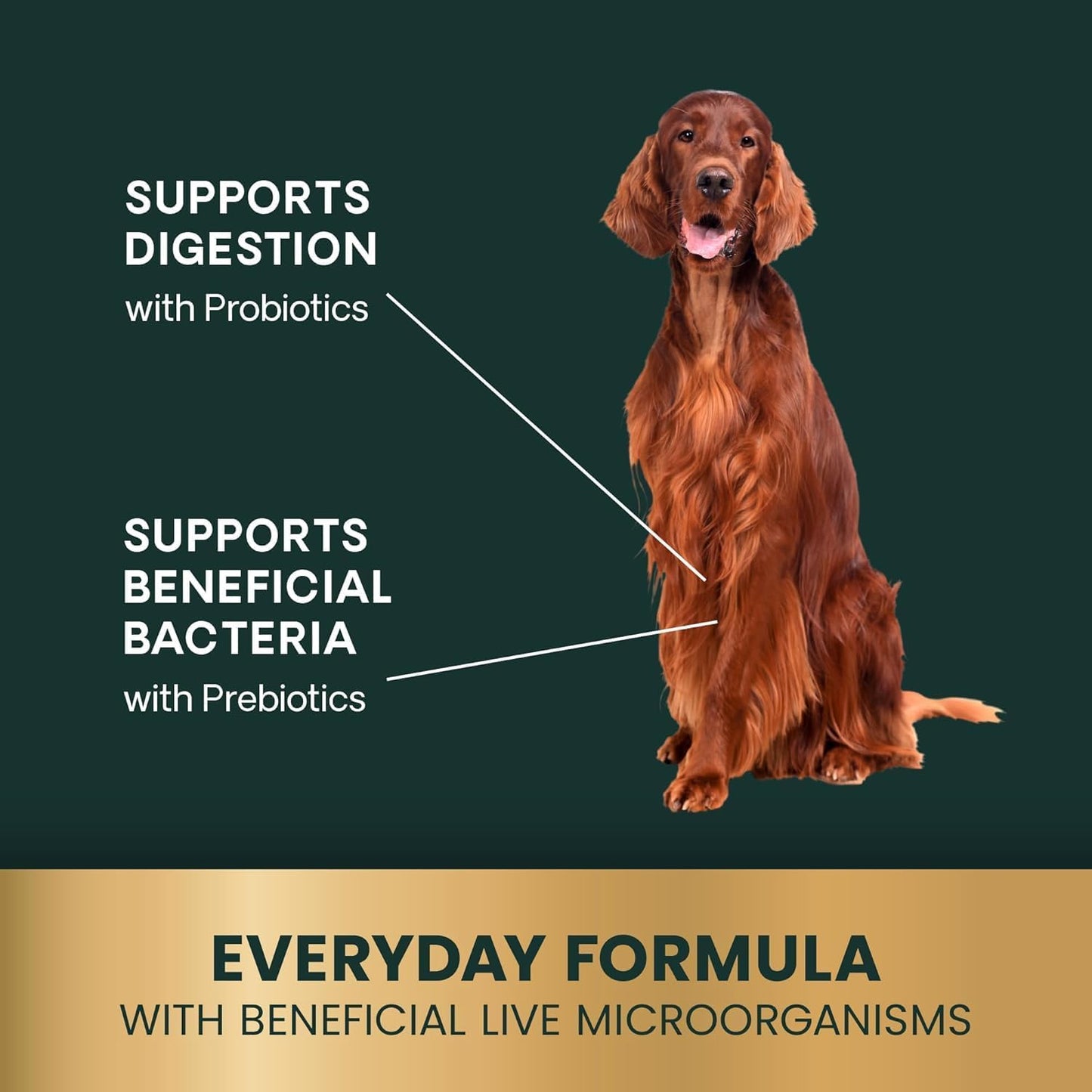 Duck flavored soft chews for canine digestive support close up