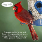 Happy Wings 5LB Sunflower Heart & Chips (Kernels) Bird Food, No Waste - Image 9