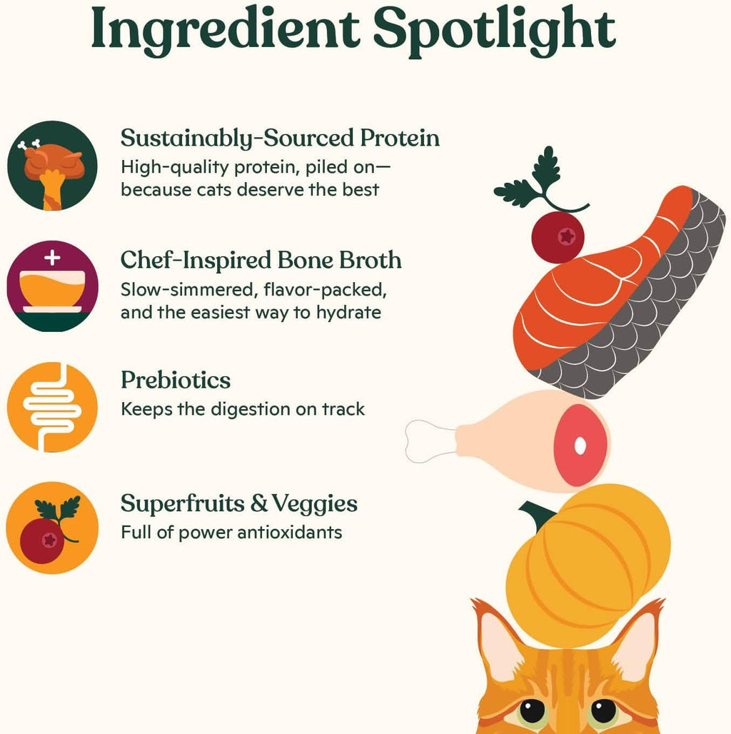 Chef Bobby Flay inspired Made by Nacho twelve pack cat food box packaging.