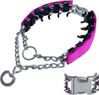 Premium dog training accessory with protective rubber tips