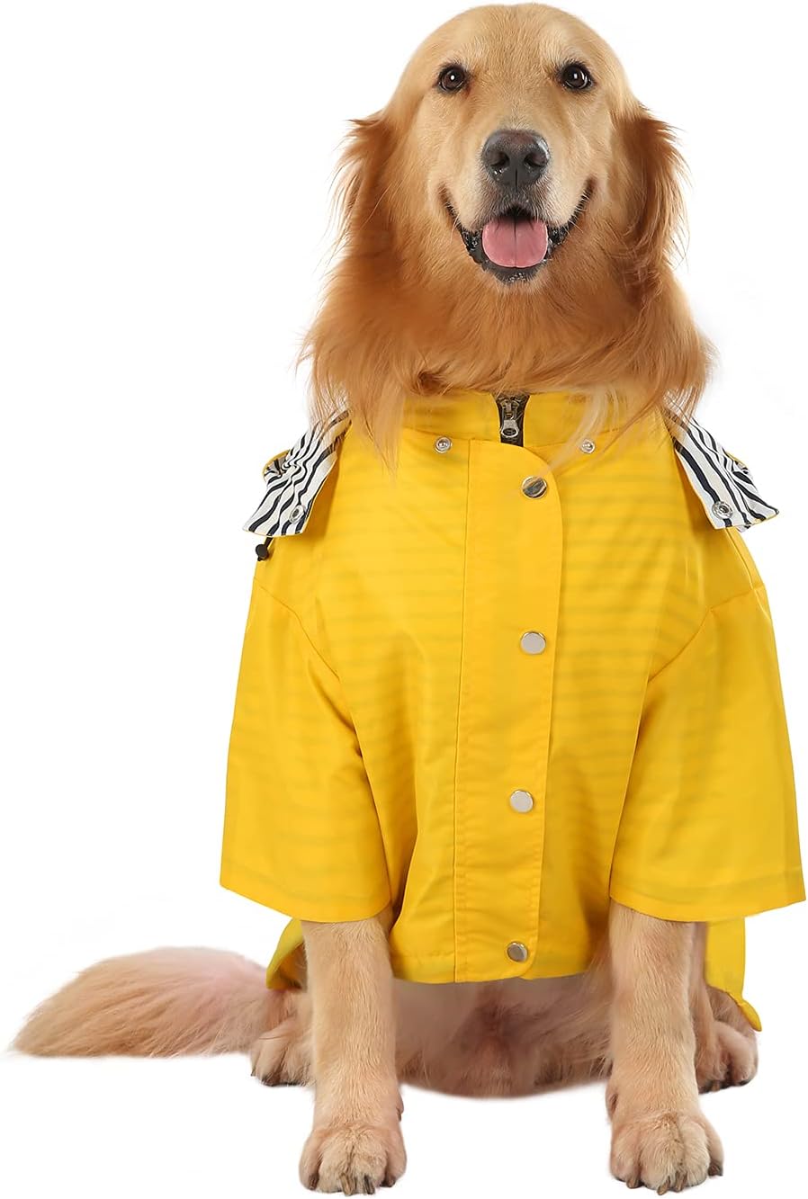 HDE dog rain jacket back view highlighting the built-in leash hole and reflective safety panels.