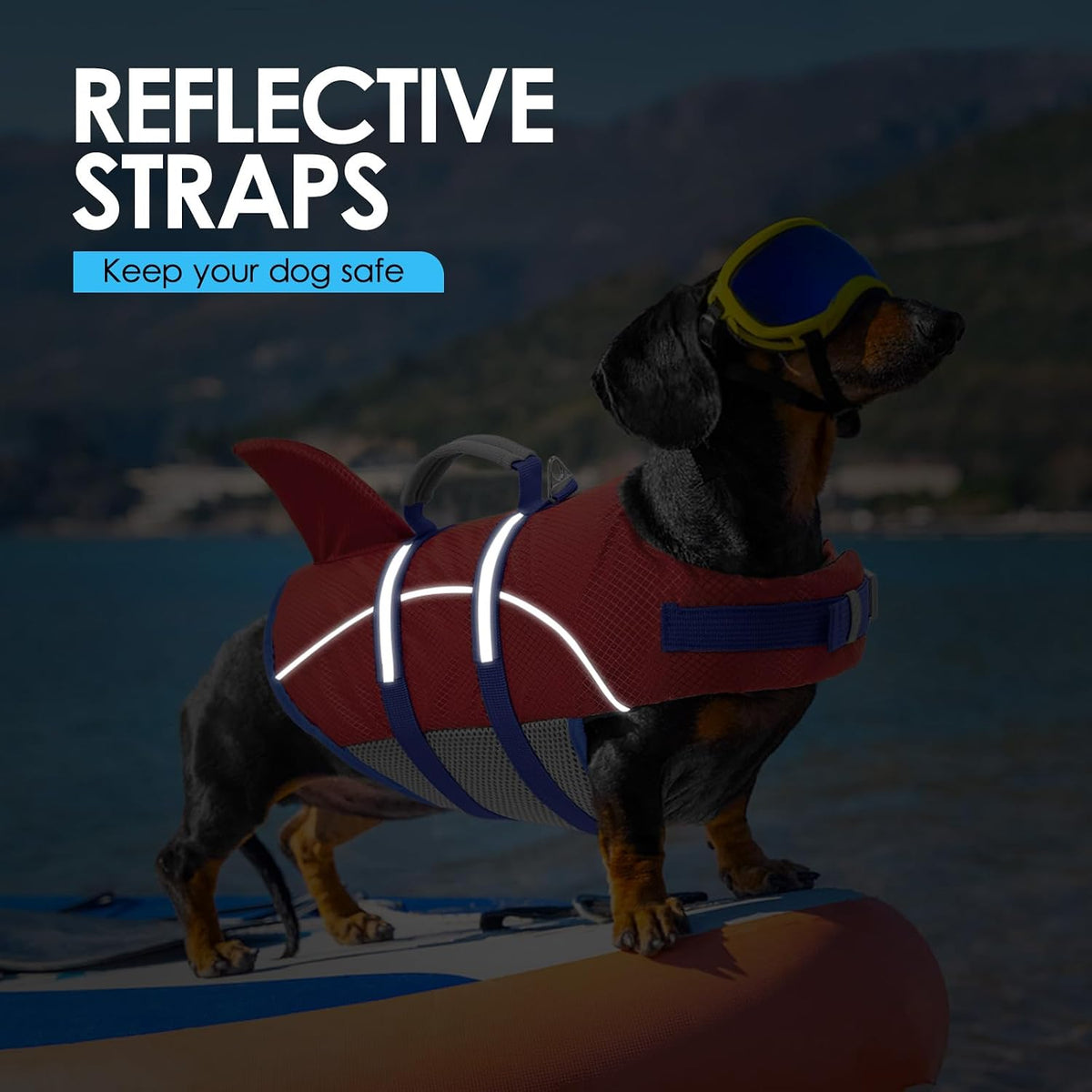 Small breed dog life vest with high visibility reflective strips