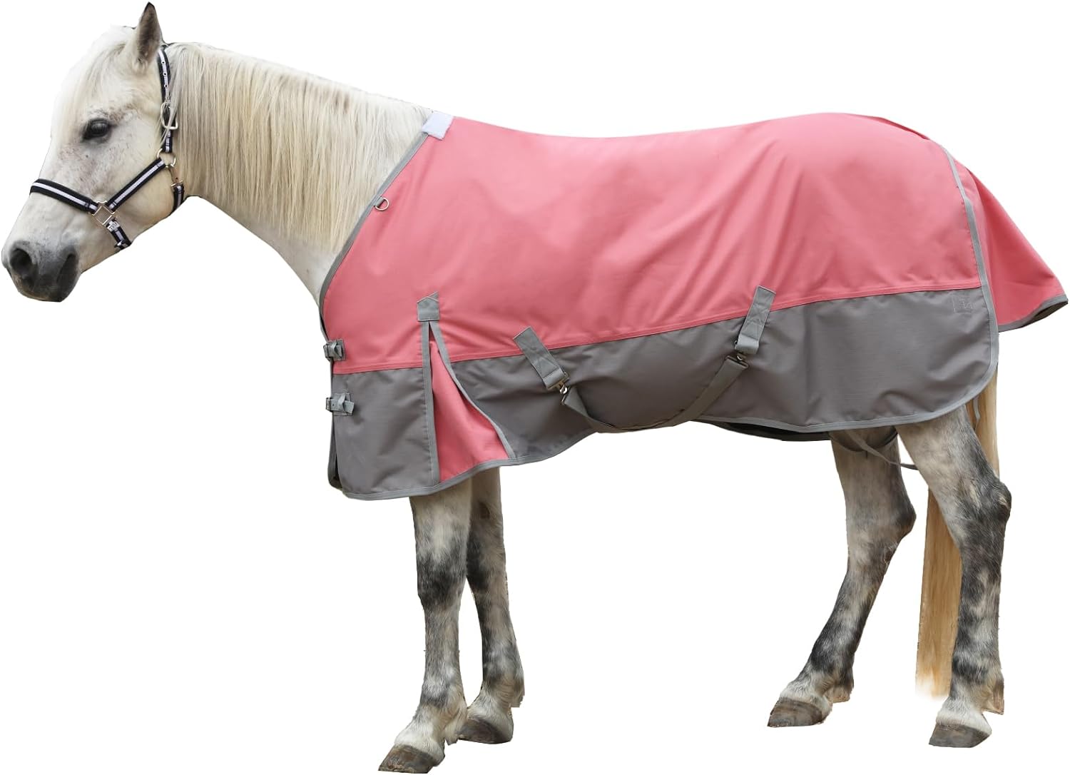 Gallopoff protective equine turnout blanket for muddy wet weather