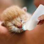 How to use 45 degree angle feeding demonstration with Xuandea pet bottle