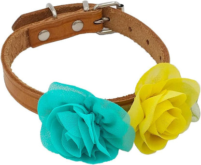 PET SHOW small dog collar attachments showcasing the elastic rubber band back
