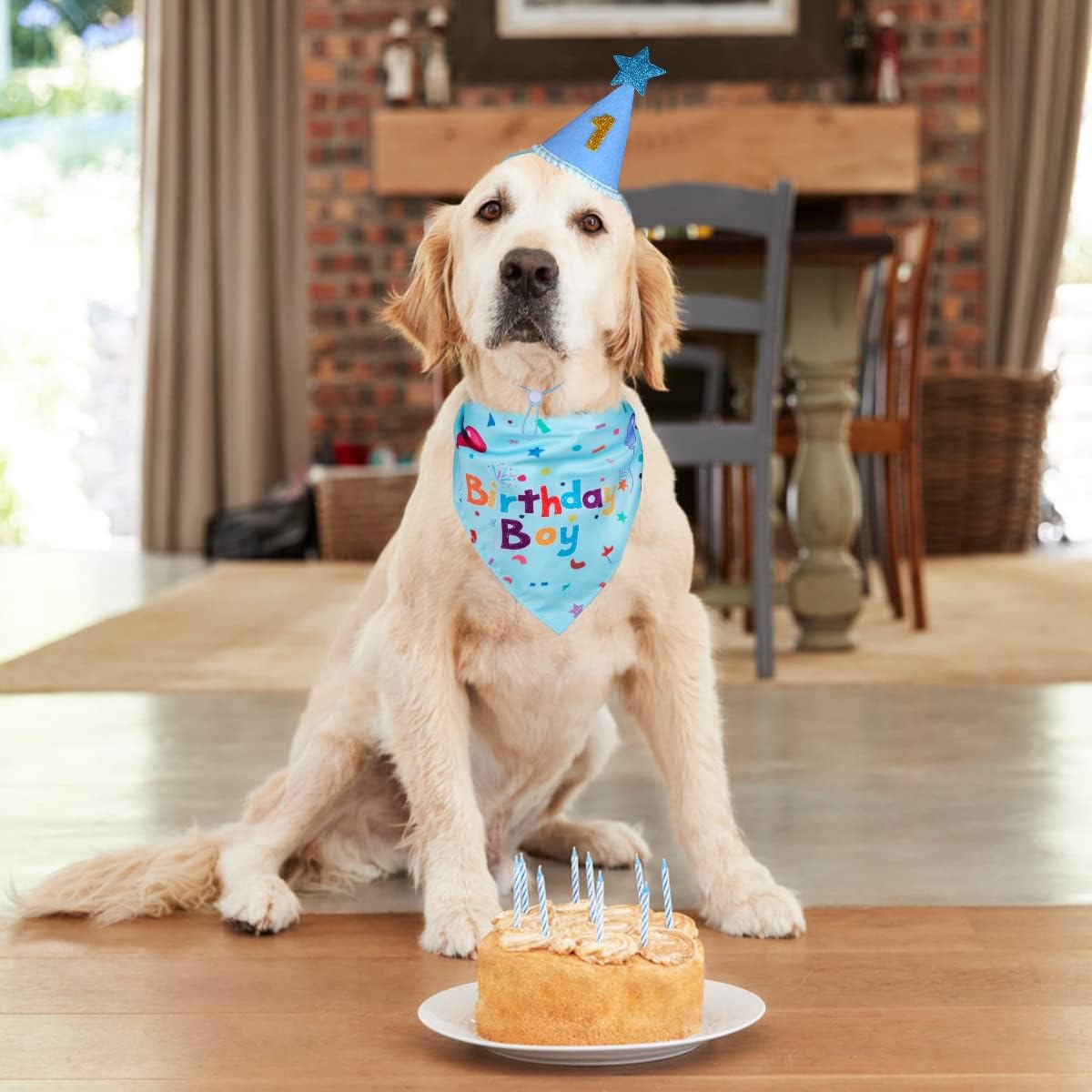 Complete packaging of the authentic USA imported pet milestone celebration kit