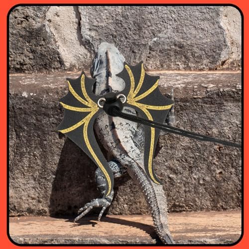 Reptile safety harness for outdoor walking