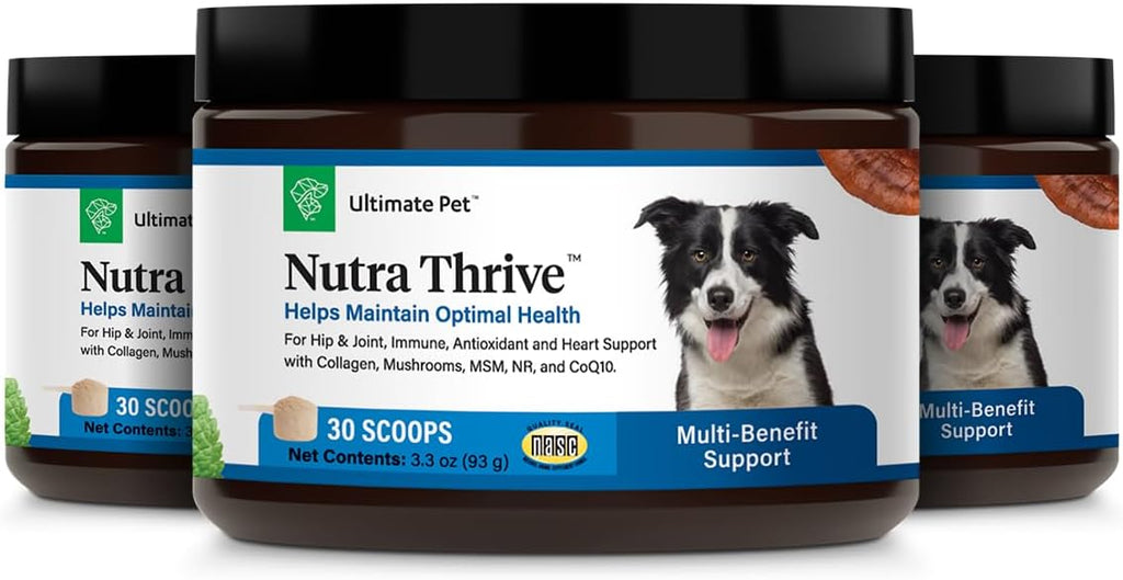 Ultimate Pet Nutrition Nutra Thrive Canine, 40-in-1 Nutritional Powder Supplement for Dogs with Digestion and Immune Support, Vitamins, Minerals, Probiotics, Enzymes, 30 Scoops - Image 10