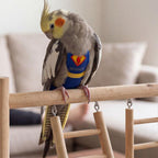 Parrot Flight Suit Diaper (Without Leash) - Reusable Bird Diaper for Budgies, Lovebirds, Cockatiels, and More - Fabric Bird Suit (Blue Superman-M) - Image 7