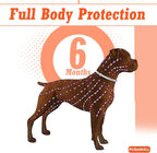 Adjustable dark orange dog collar for flea prevention