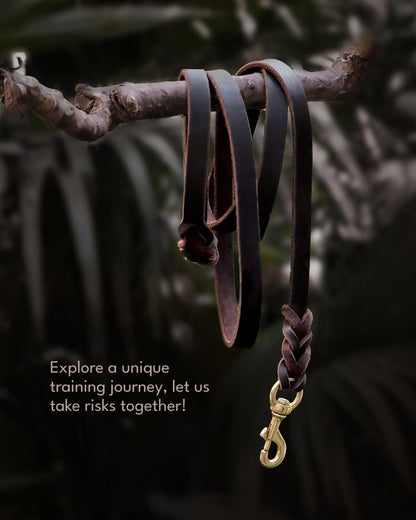 Fairwin premium imported leather dog leash handle loop for comfortable grip