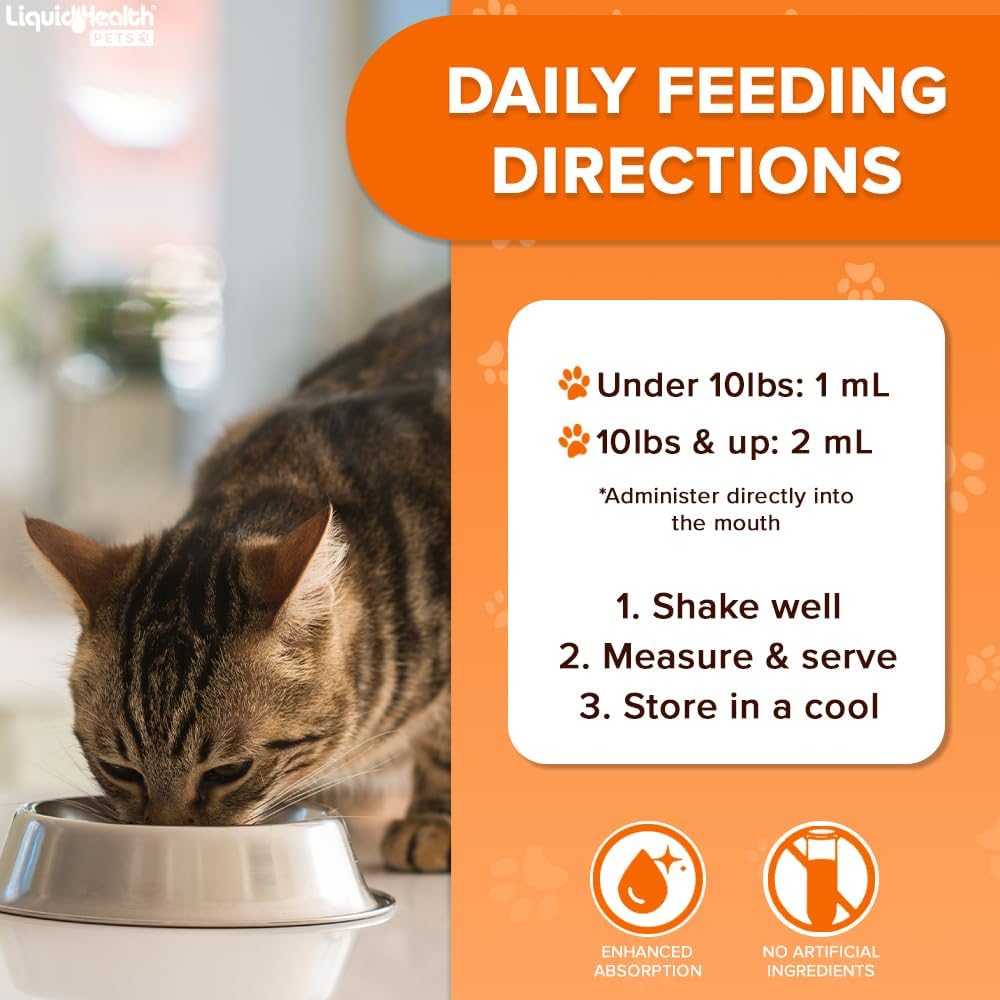 Close up of Liquidhealth joint support formula for senior cats and kittens