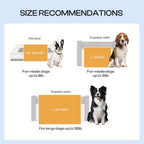 Luciphia beige dog blanket protecting furniture from pet hair