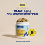 Boops Pets cellular health soft chews for aging dogs premium imported pet vitamins.
