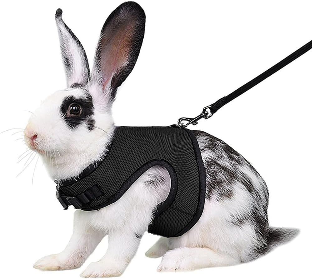 Youalso black bunny harness and leash front view premium small pet walking vest