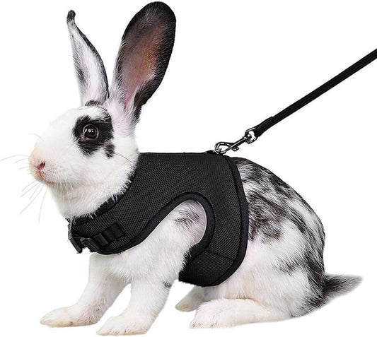 Youalso black bunny harness and leash front view premium small pet walking vest