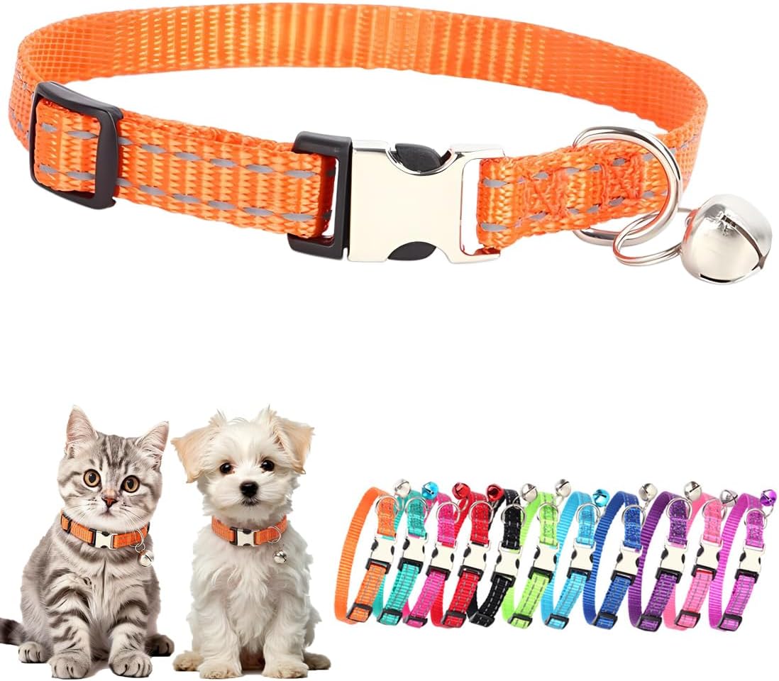 Premium pet neck collar packaging view for extra small breeds
