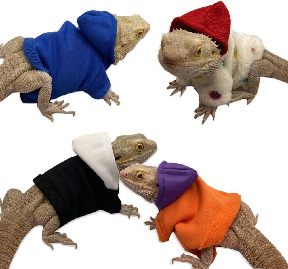 Handmade polar fleece reptile apparel hoodie sweater on a bearded dragon